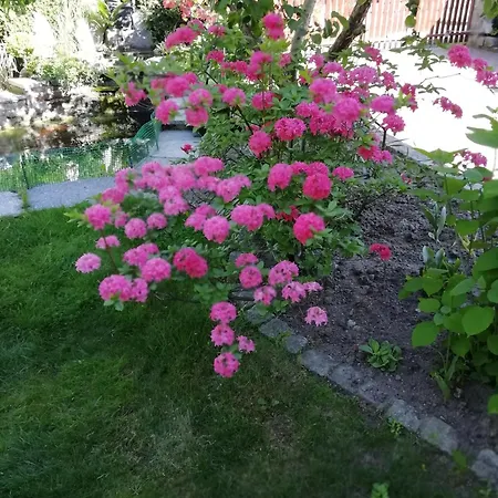 Wlodek * Jelenia Góra