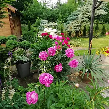 Apartamento Wlodek