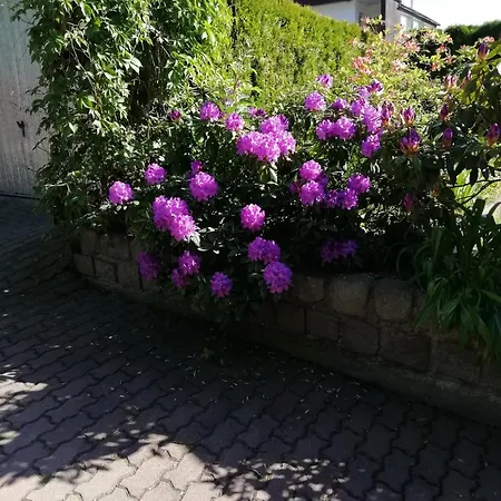 Wlodek Appartement *