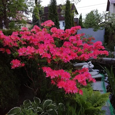 Appartement Wlodek *