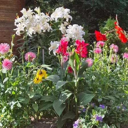 Wlodek Appartement Jelenia Góra