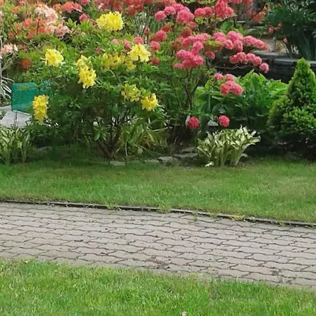 Wlodek Appartement *