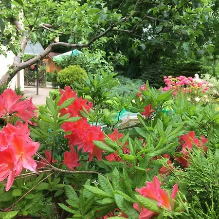 Wlodek * Jelenia Góra