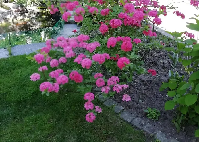 Wlodek * Jelenia Gora