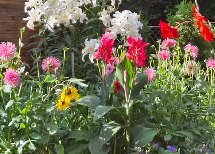 Wlodek Apartment Jelenia Gora