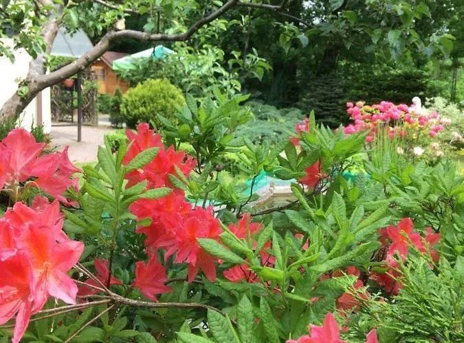 Wlodek * Jelenia Gora